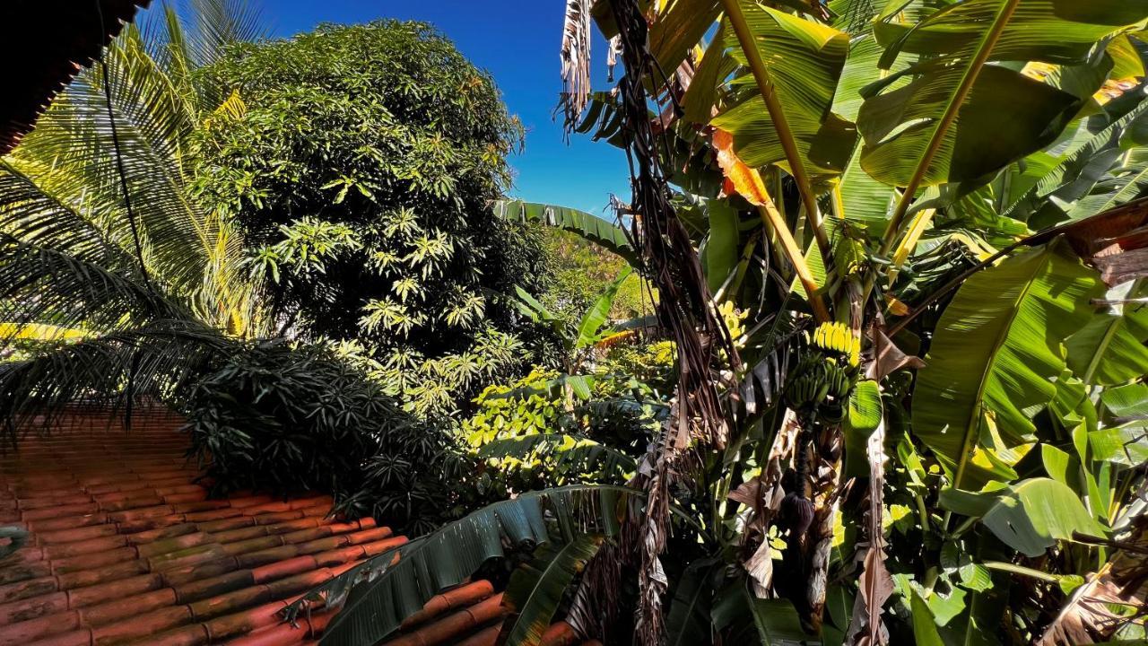 Pura Vida Surf House Ξενοδοχείο Barra Grande  Εξωτερικό φωτογραφία